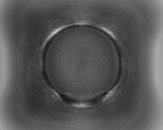 X0000087521311200704271133