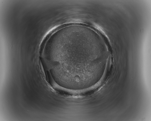 X0000087521312200704271133