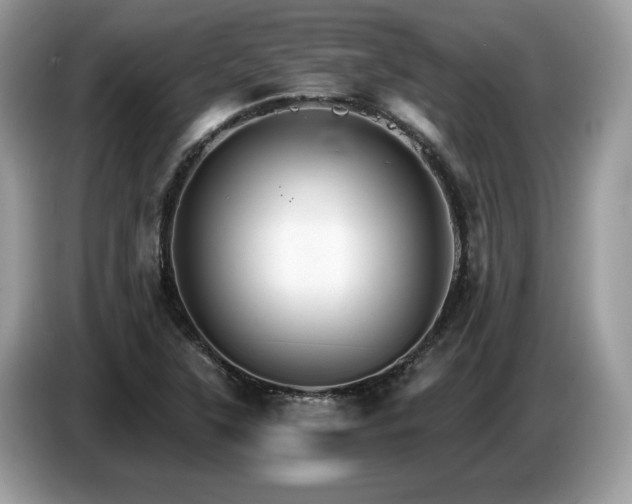 X0000087521315200704271133