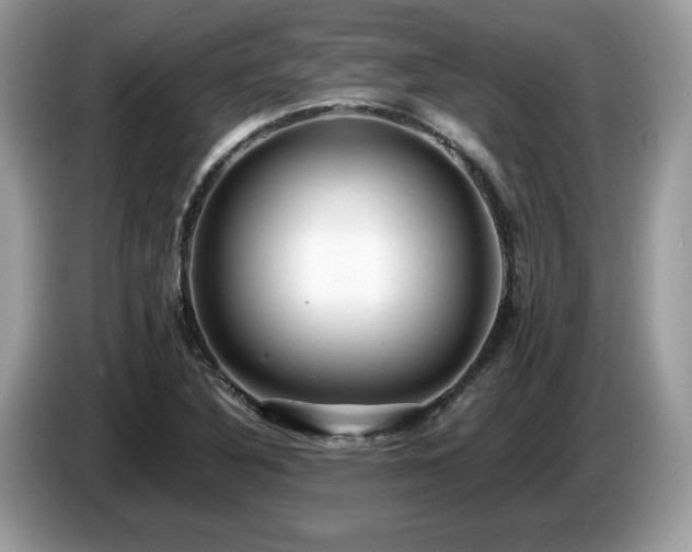 X0000087521316200704271133