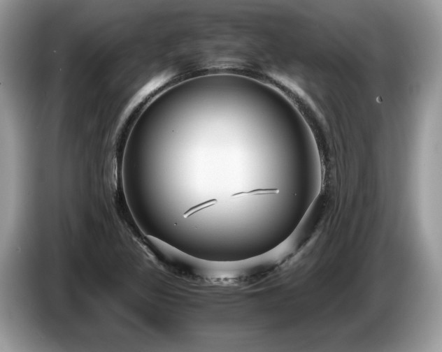 X0000087521317200704271133