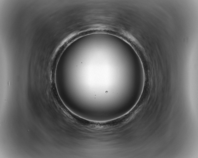 X0000087521318200704271133
