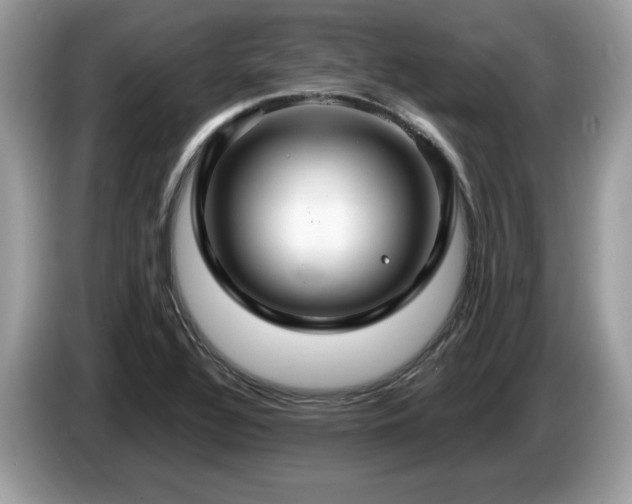 X0000087521320200704271133