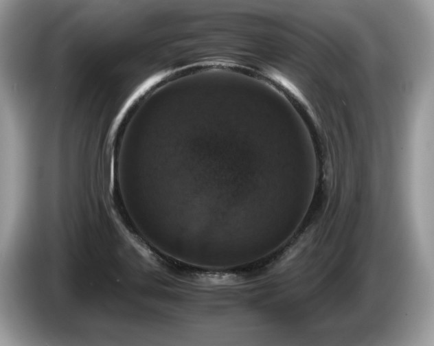 X0000087521323200704271133