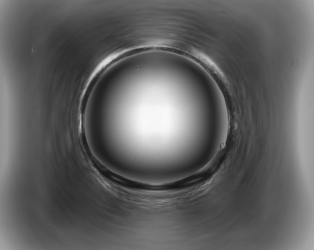 X0000087521324200704271133
