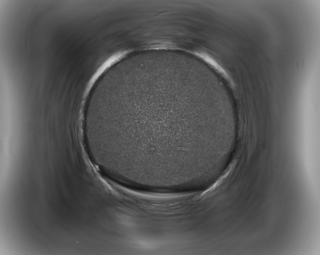 X0000087521325200704271133