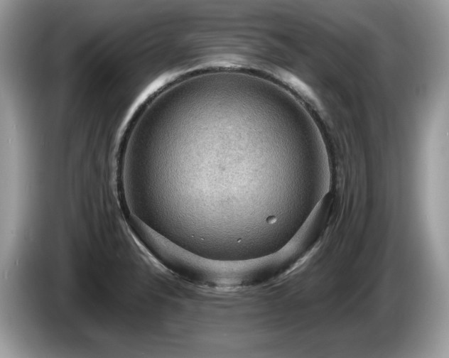X0000087521326200704271133
