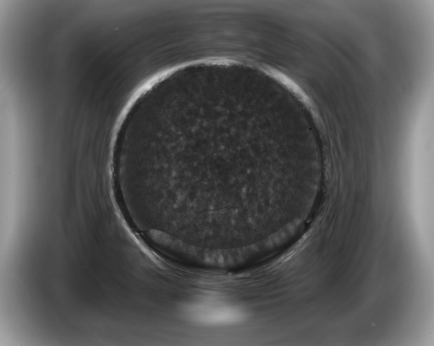 X0000087521327200704271133