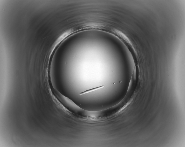 X0000087521330200704271133