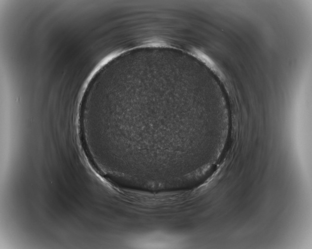 X0000087521331200704271133