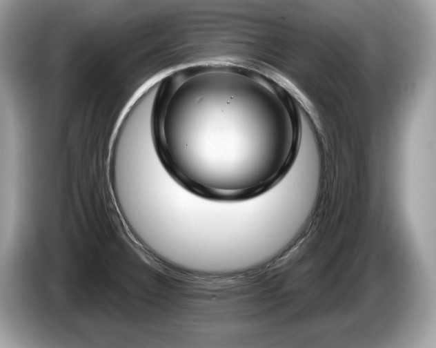 X0000087521332200704271133