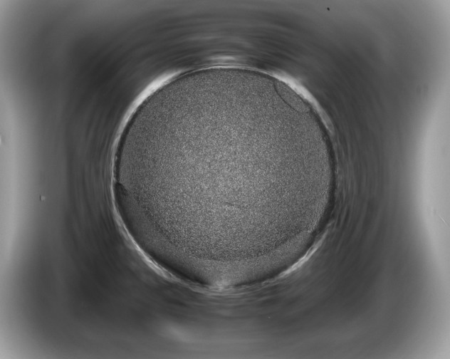 X0000087521333200704271133