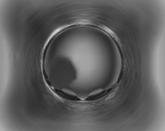X0000087521334200704271133