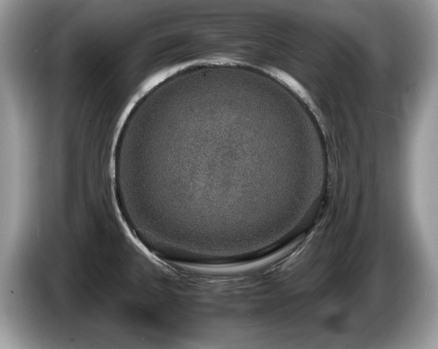 X0000087521335200704271133