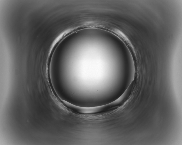 X0000087521336200704271133