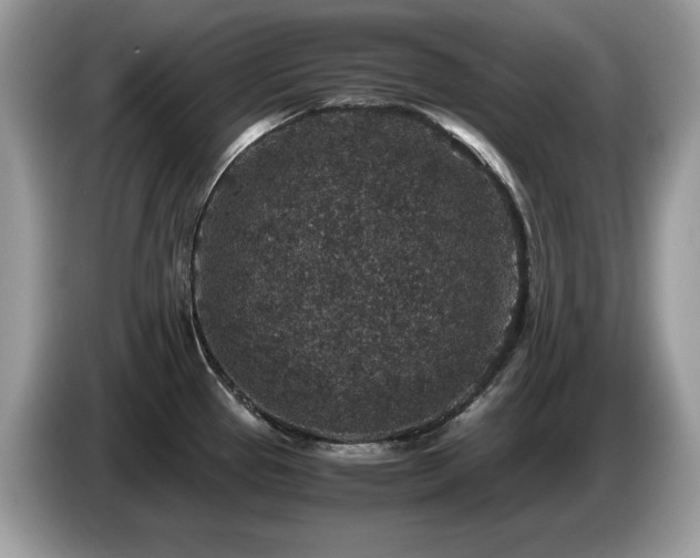 X0000087521337200704271133