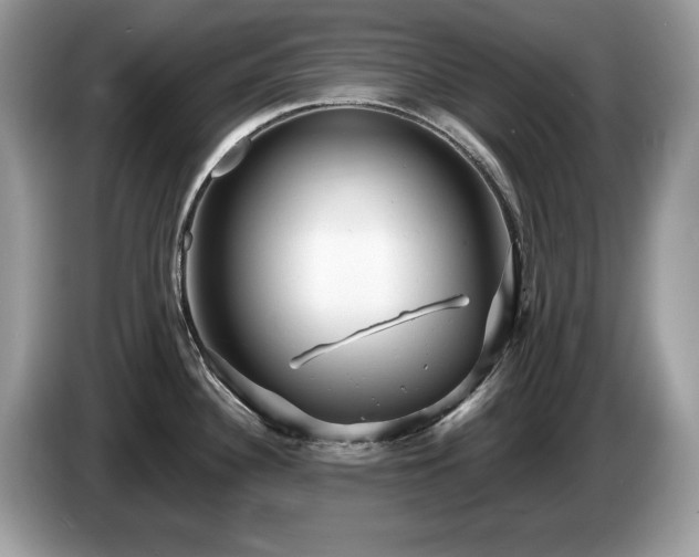 X0000087521340200704271133