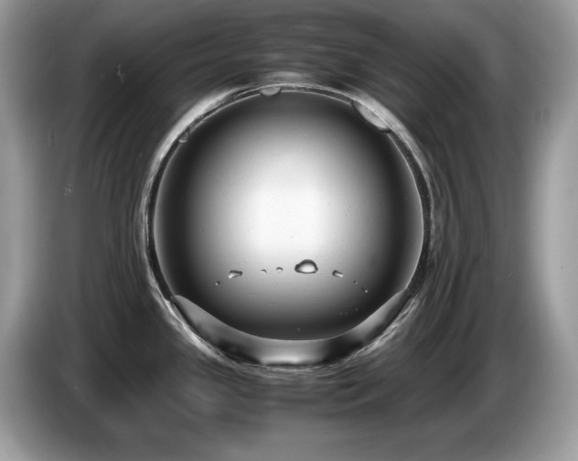 X0000087521341200704271134