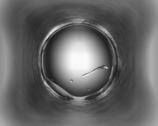 X0000087521342200704271134
