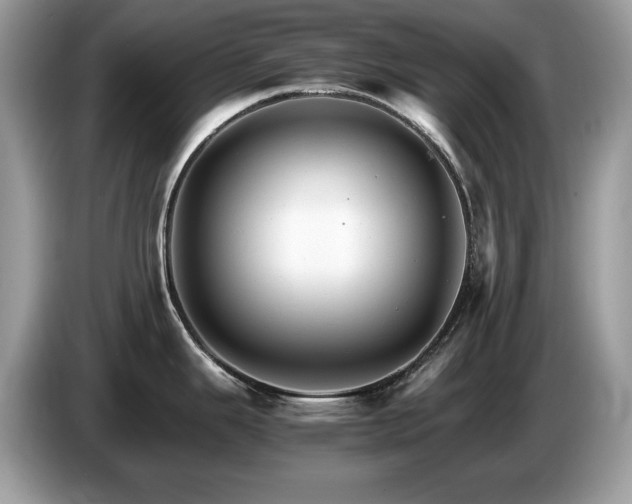 X0000087521343200704271134