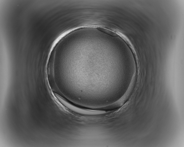 X0000087521344200704271134