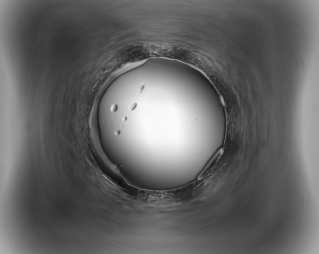 X0000087521345200704271133