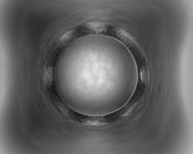X0000087521347200704271133