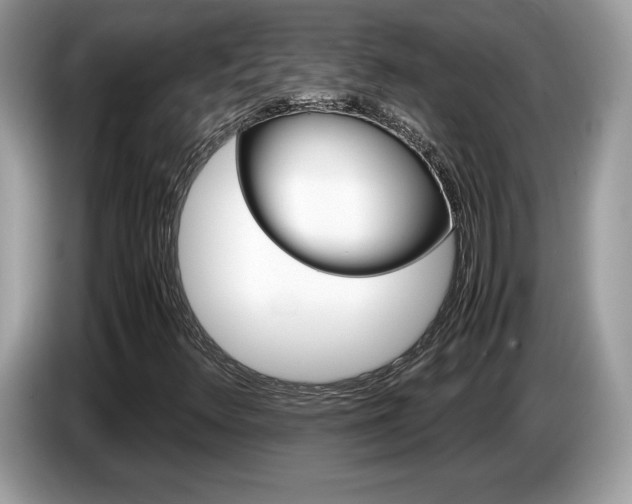 X0000087521348200704271133