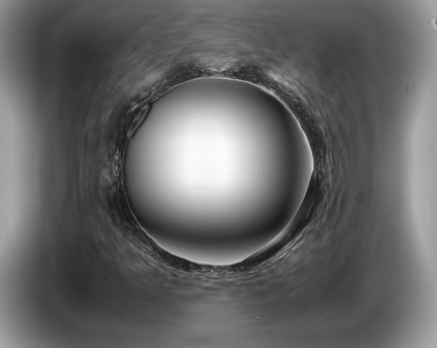 X0000087521349200704271133
