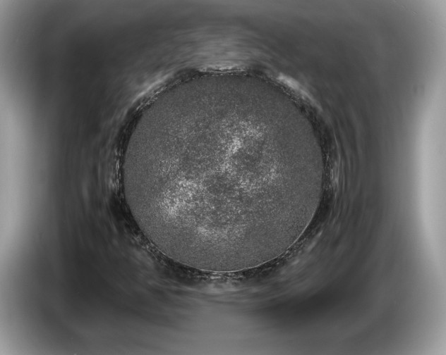 X0000087521350200704271133