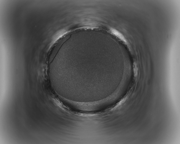 X0000087521352200704271133