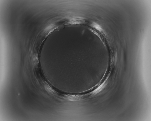 X0000087521353200704271133