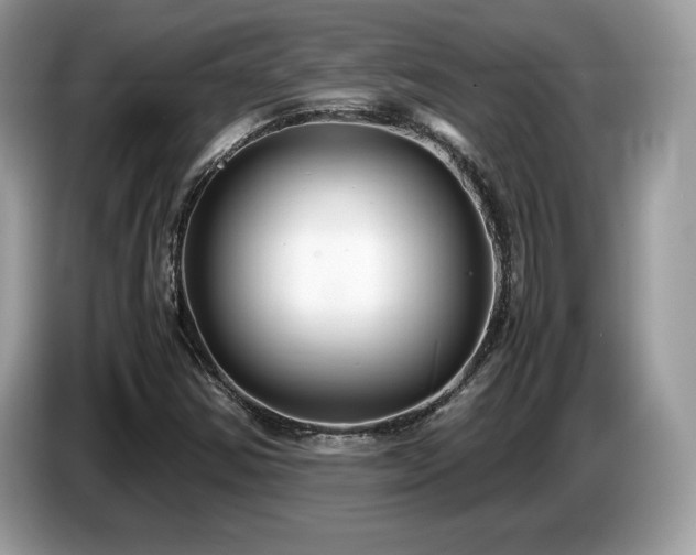 X0000087521354200704271133