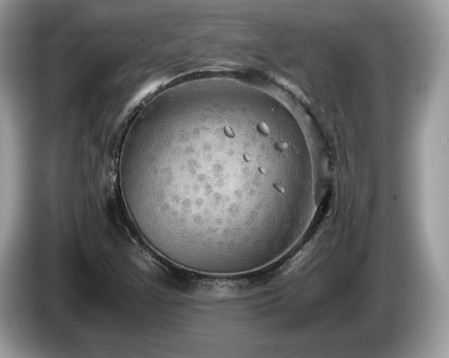X0000087521355200704271133