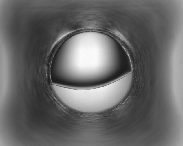 X0000087521356200704271133