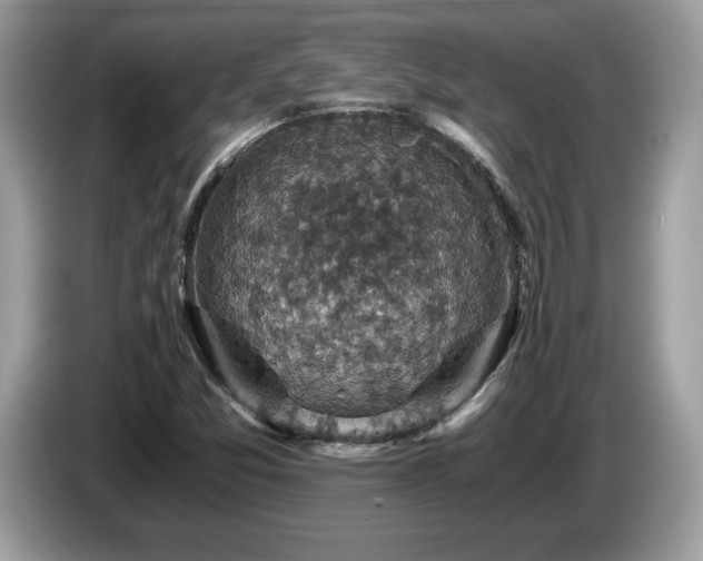 X0000087521357200704271133