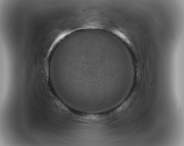 X0000087521358200704271133
