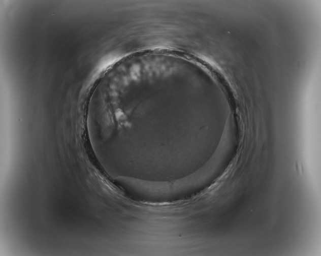 X0000087521359200704271133