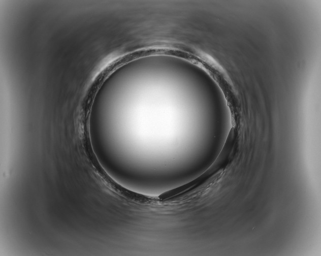 X0000087521360200704271133