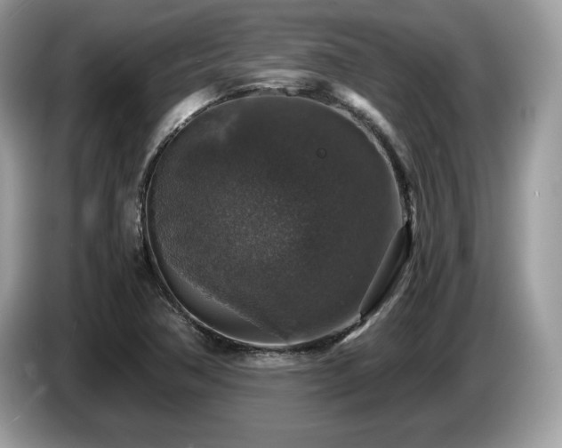 X0000087521362200704271133
