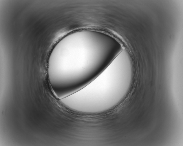 X0000087521363200704271133