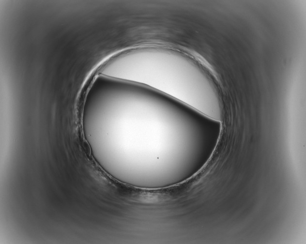 X0000087521364200704271133