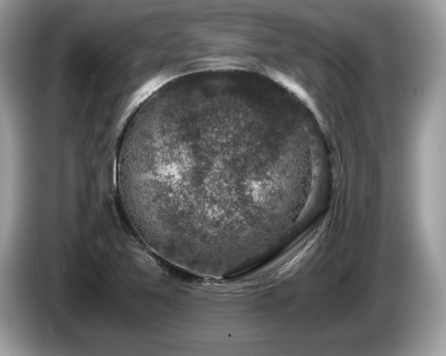 X0000087521365200704271133