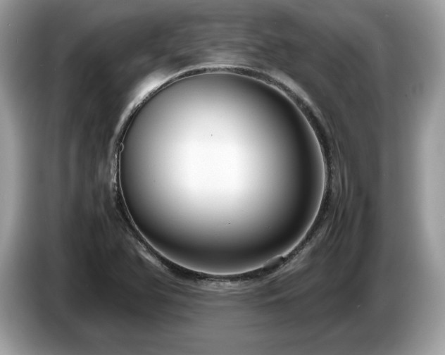 X0000087521366200704271133