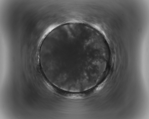 X0000087521367200704271133
