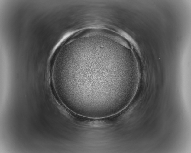 X0000087521368200704271133