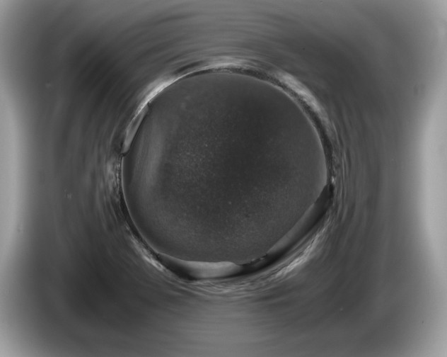 X0000087521369200704271133