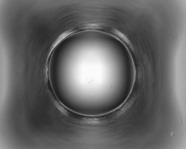 X0000087521370200704271133