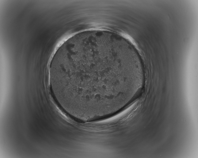 X0000087521371200704271133