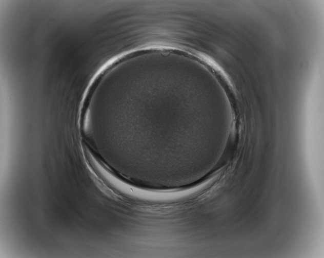 X0000087521372200704271133